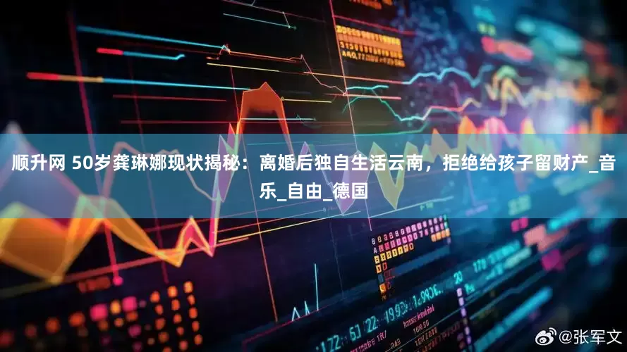 顺升网 50岁龚琳娜现状揭秘：离婚后独自生活云南，拒绝给孩子留财产_音乐_自由_德国
