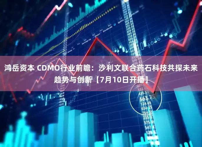 鸿岳资本 CDMO行业前瞻：沙利文联合药石科技共探未来趋势与创新【7月10日开播】