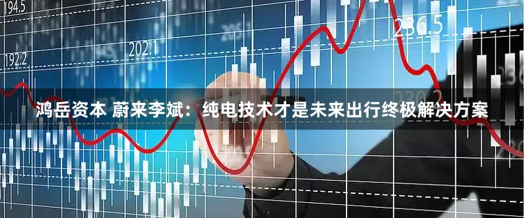 鸿岳资本 蔚来李斌：纯电技术才是未来出行终极解决方案