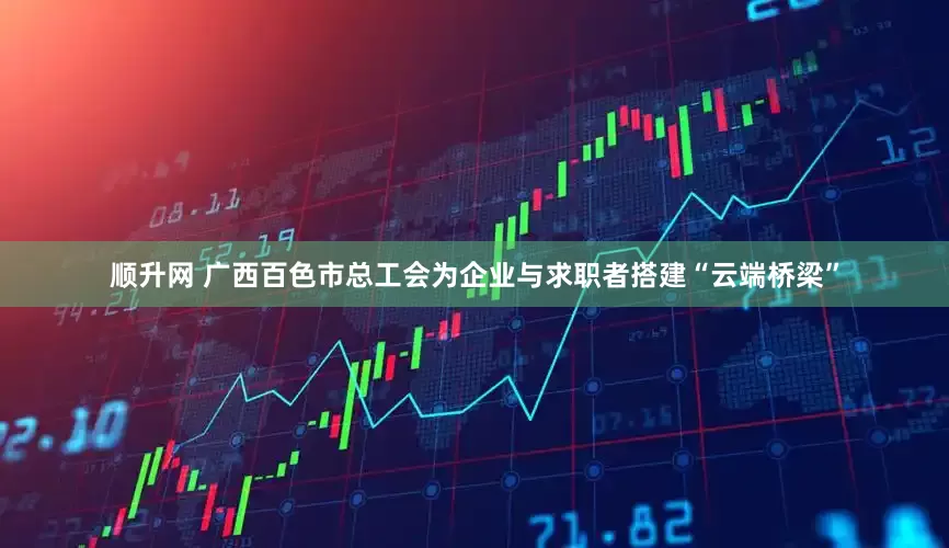 顺升网 广西百色市总工会为企业与求职者搭建“云端桥梁”