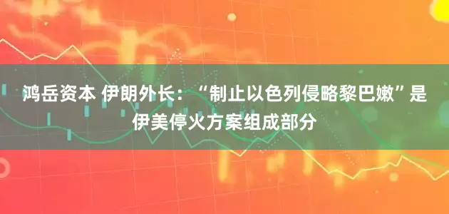 鸿岳资本 伊朗外长：“制止以色列侵略黎巴嫩”是伊美停火方案组成部分